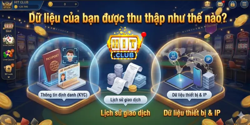 Dữ liệu của bạn được thu thập như thế nào?
